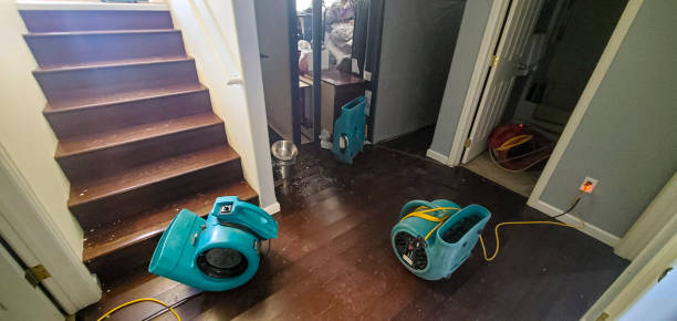 Carpet water damage restoration in Paul, ID