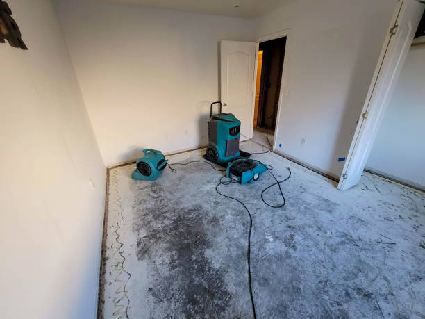 Professional Water damage restoration in Paul, ID