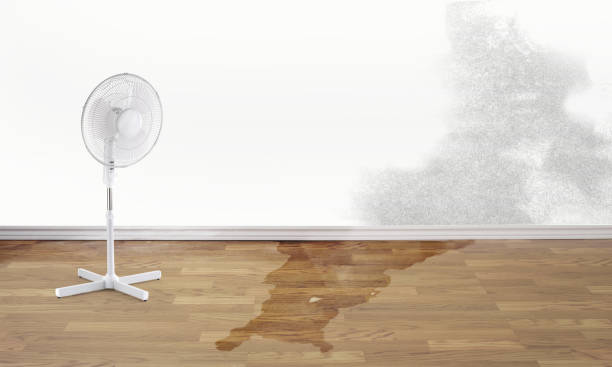24/7 water damage repair in Paul, ID