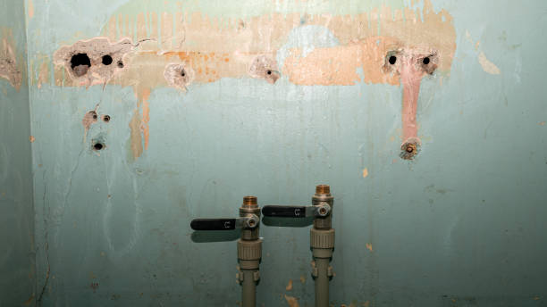 Best Carpet water damage restoration  in Paul, ID