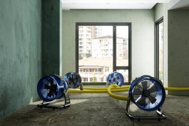 Best Water damage restoration near me  in Paul, ID